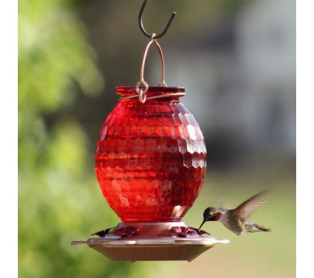 Hummingbird Feeder with Rose Gold Accents