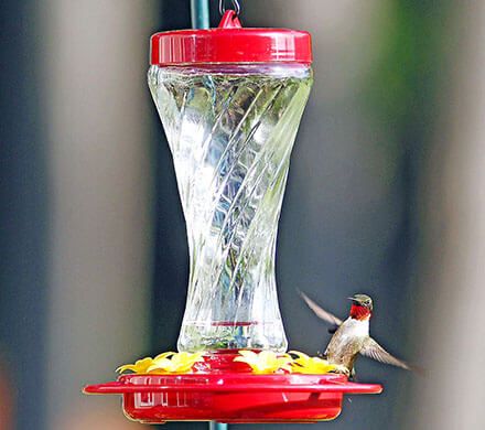 Wavy Glass Hummingbird Feeder