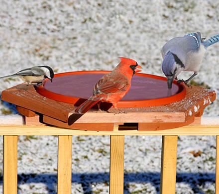 Heated Cedar Deck Birdbath