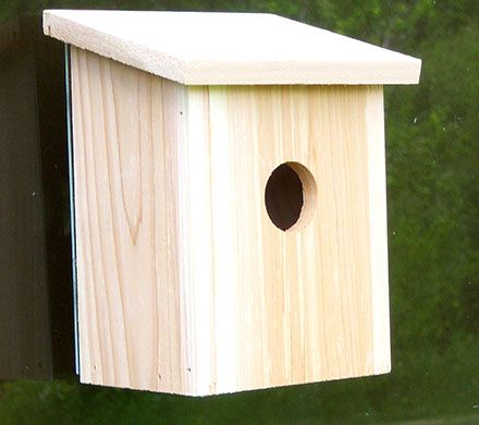 Perch-Free Window Birdhouse