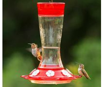 Hummingbird Feeder with Built-In Ant Moat