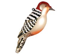 Red-Bellied Woodpecker Ornament
