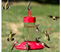 Rugged Hummingbird Feeder