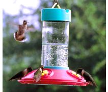 Wide Mouth Hummingbird Feeder
