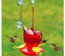 Window Hummingbird Feeder and Hanger
