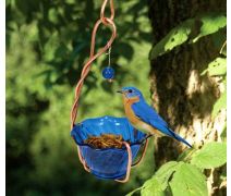 Handcrafted Bluebird Feeder