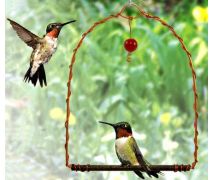 Hummingbird Swing